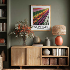 Tulip Fields Poster