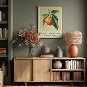 Arancia Di Calabria Poster