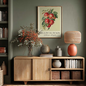 Mela Di Val Di Non Poster