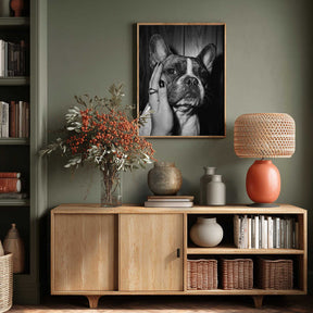 Petting a Frenchie Poster