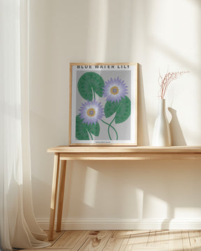 Blue Water Lily - National flower of Sri Lanka Poster