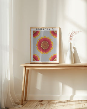 Gaillardia - National flower of Belgium Poster