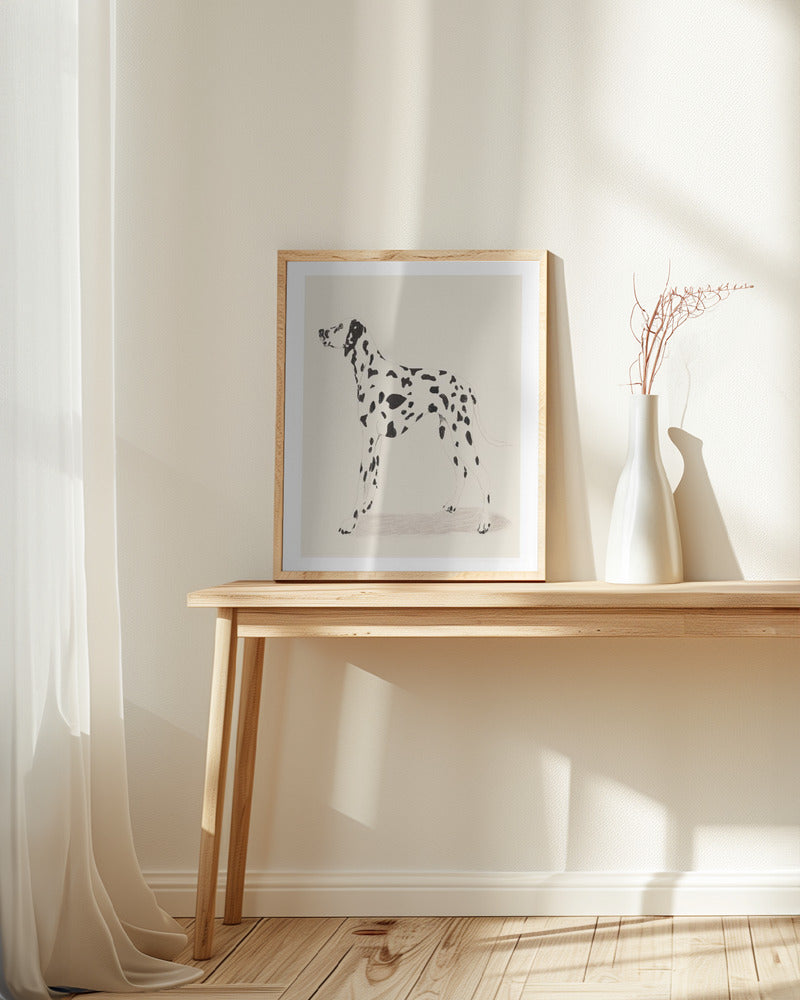 Pandc Dalmation Poster