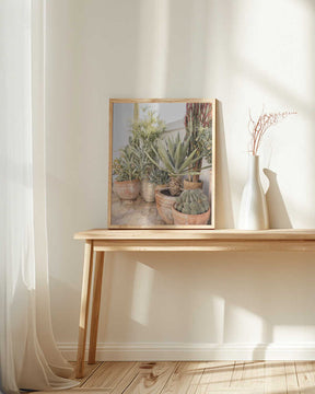 Garden with Various Potted Succulents and Cacti Poster