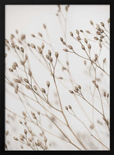 Wild Grass Poster