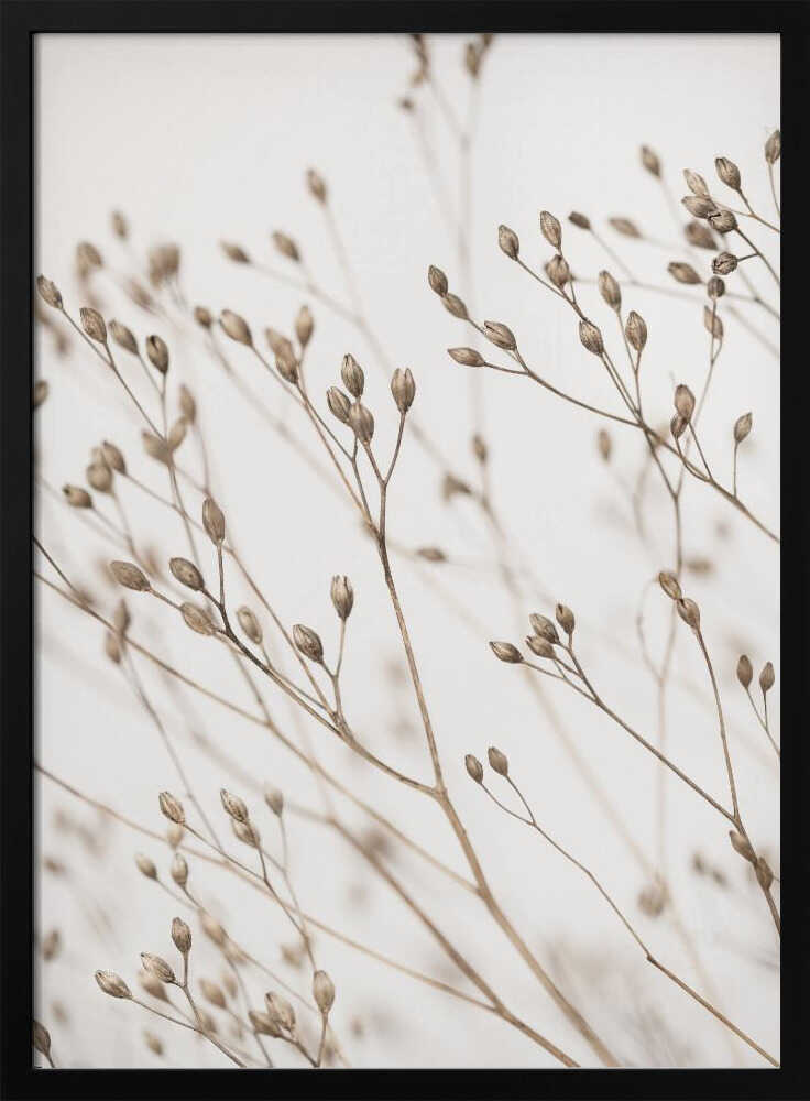 Wild Grass Poster