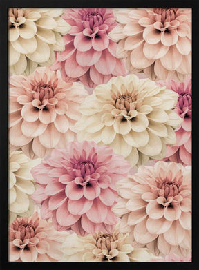 Dahlia Poster