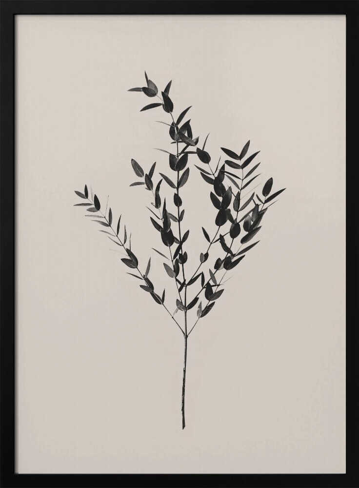 Inky Botanical Poster