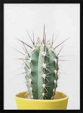 Spikey Cactus Poster