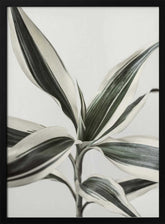 Foliage Poster