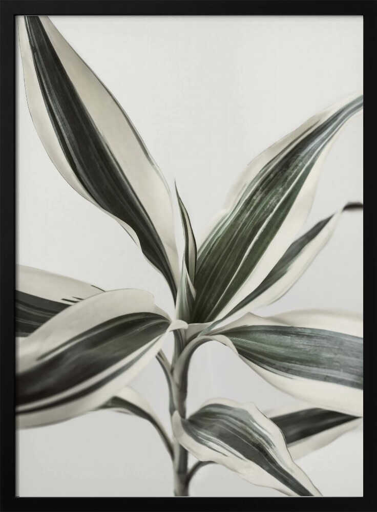 Foliage Poster