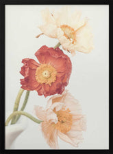 Poppies Poster