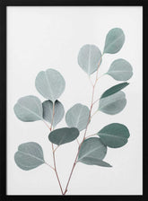 Silverdollar Poster