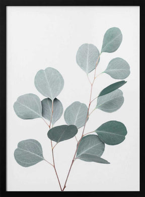 Silverdollar Poster