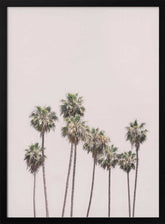 Blush Palms Poster