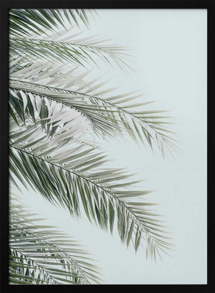 Blue Palms Poster