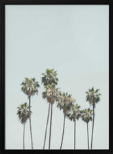 Blue Palm Trees Poster
