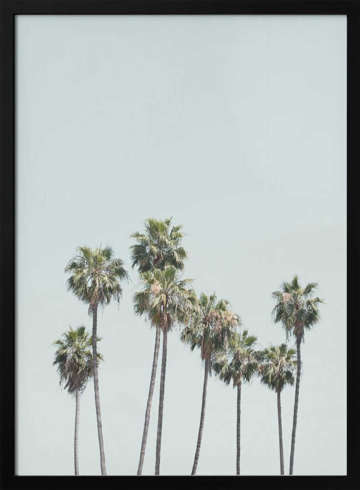 Blue Palm Trees Poster