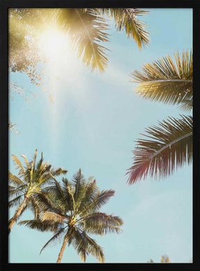 Sun Rays Poster