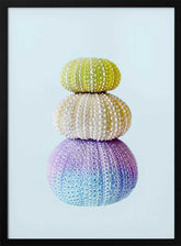 Sea Urchins Poster