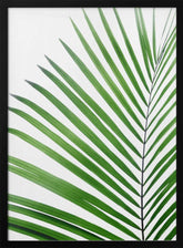 Green Palm Leaf Poster