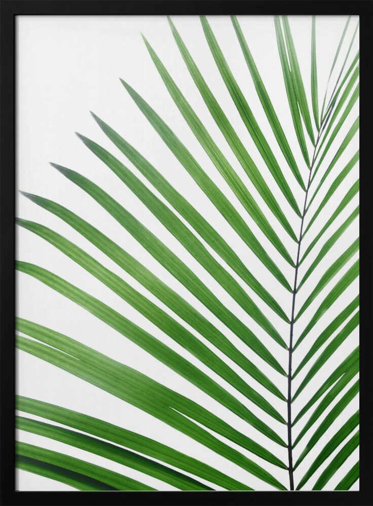 Green Palm Leaf Poster