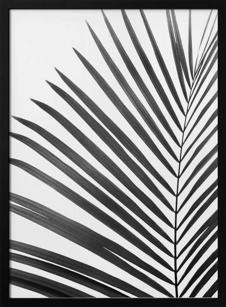 BW Palm Leaf Poster