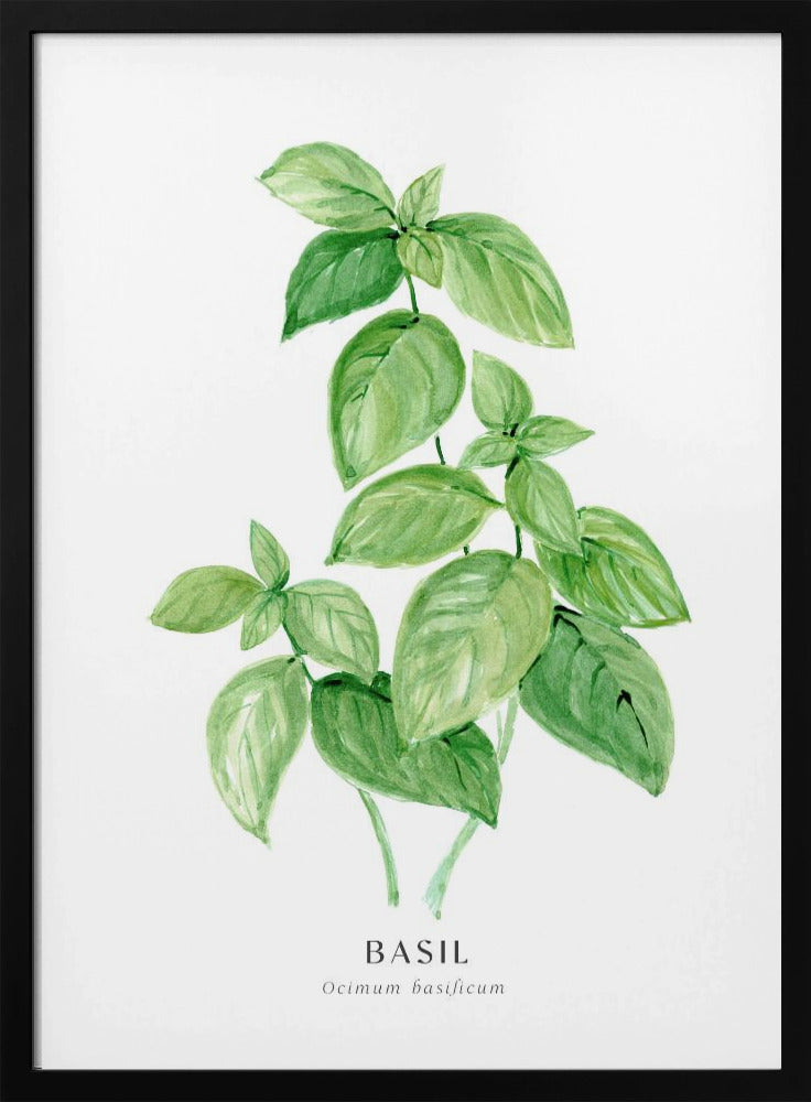 Basil I Poster