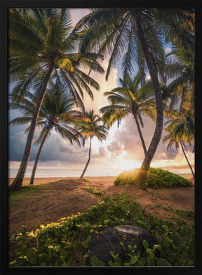 Vertical Paradise Poster