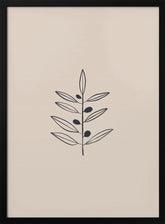 Olive Branche Poster