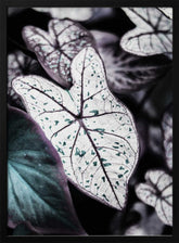 Whispers of Leaves Poster