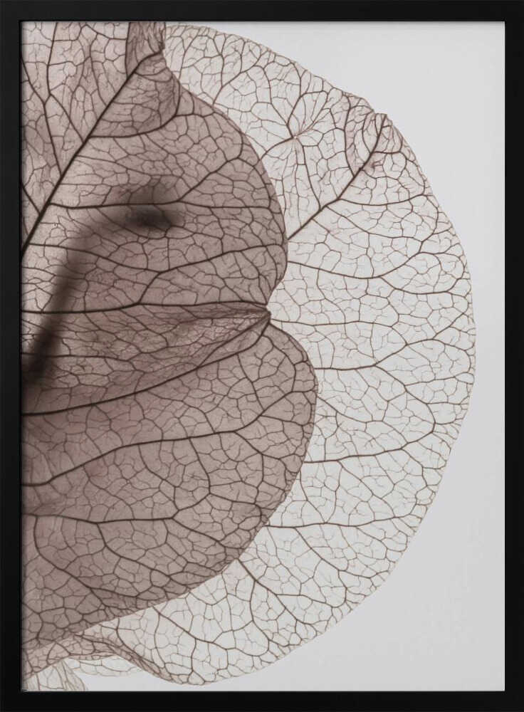 Veins of Nature Poster