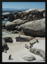 Penguin Cove Serenity Poster