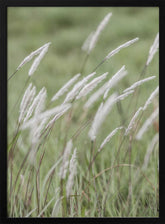 Whispering Meadows Poster