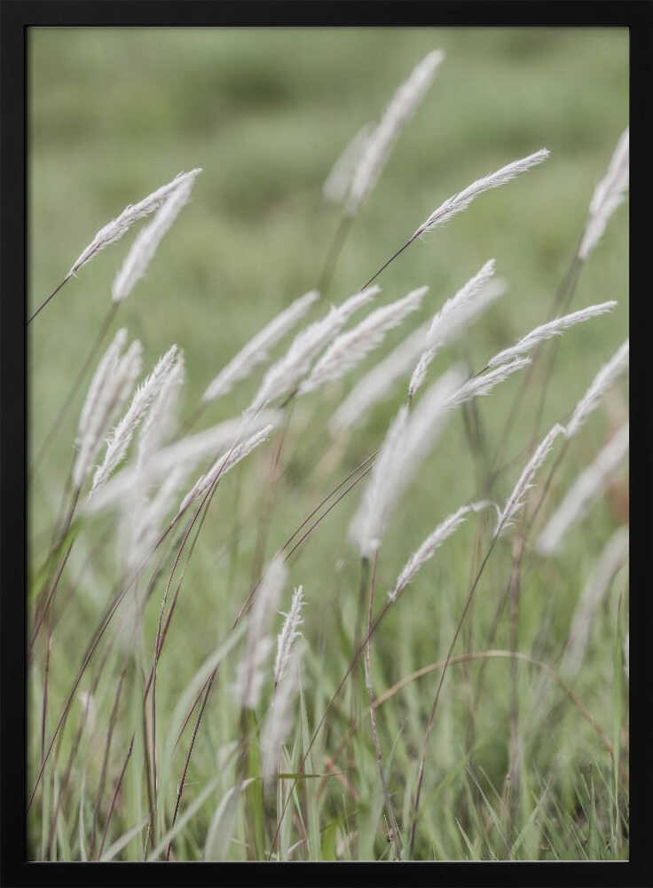 Whispering Meadows Poster