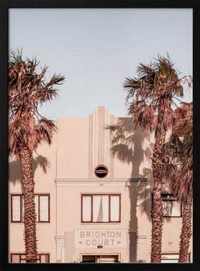 Palm Shadows Poster