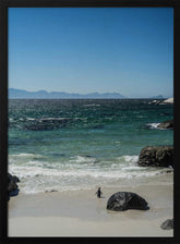 Penguin's Beach Walk Poster