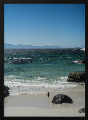 Penguin's Beach Walk Poster
