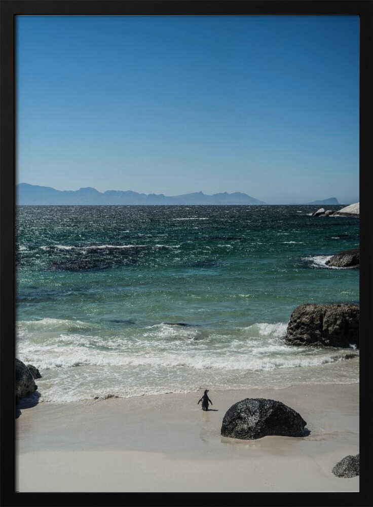 Penguin's Beach Walk Poster