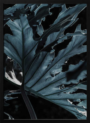 Leafy Shadowscape Poster