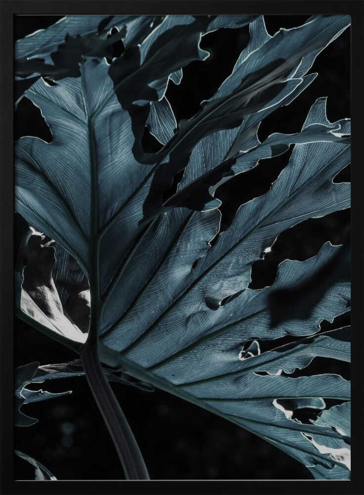 Leafy Shadowscape Poster