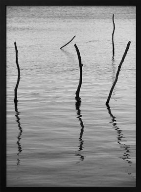 Silent Reflections Poster