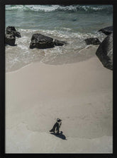 Lonely Beach Stroll Poster