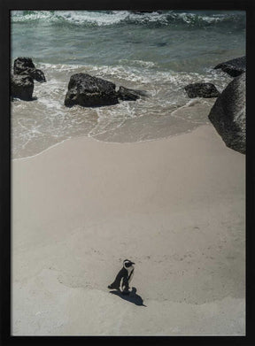 Lonely Beach Stroll Poster