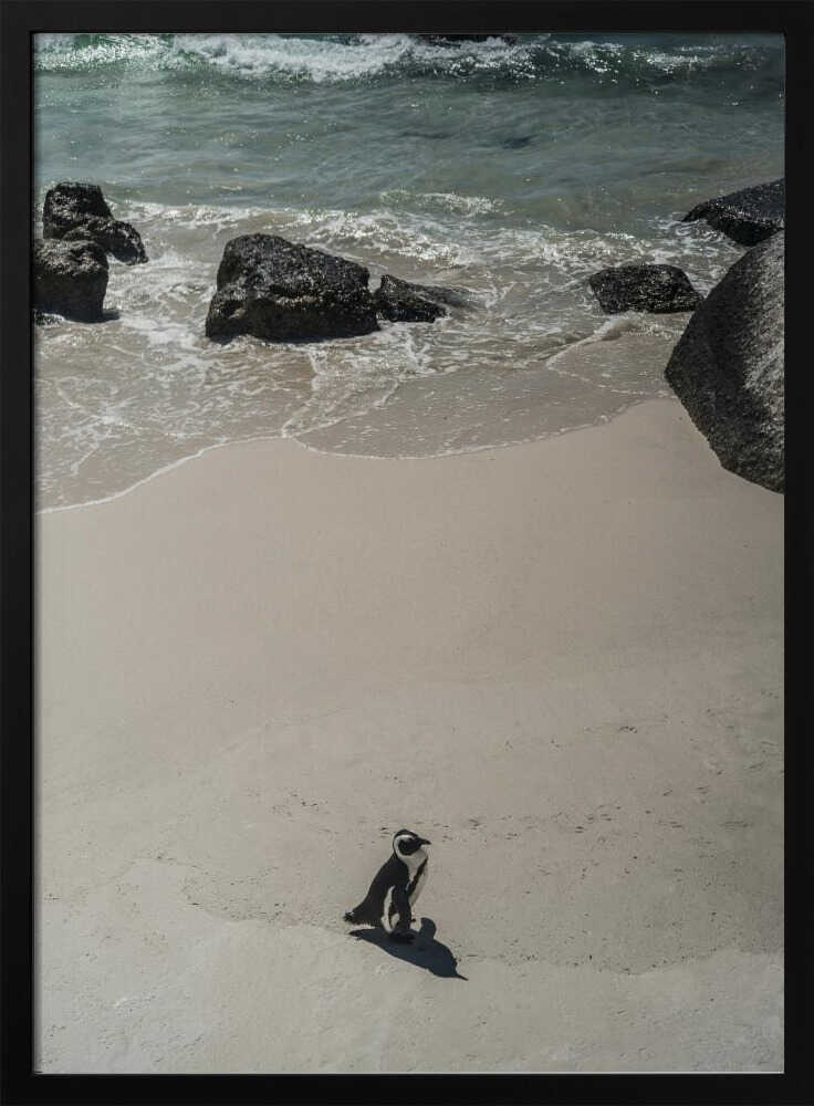 Lonely Beach Stroll Poster