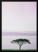 Tree By A Tranquil Lake Poster