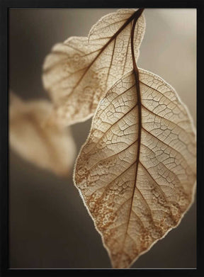Ethereal Leaves Poster