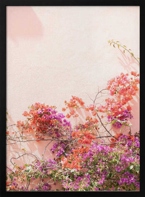 Pink Summer Poster