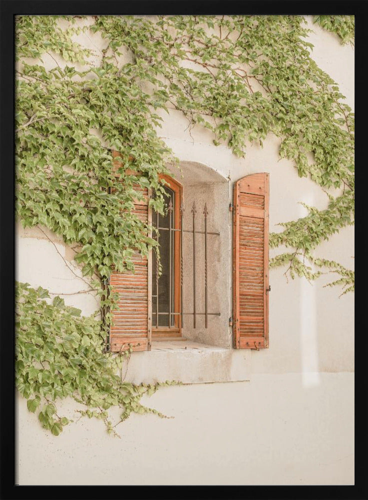 French Shutters Poster