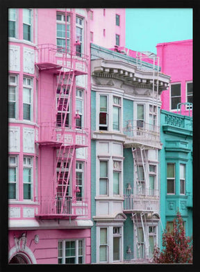 Pink and Blue Row Houses in San Francisco Poster